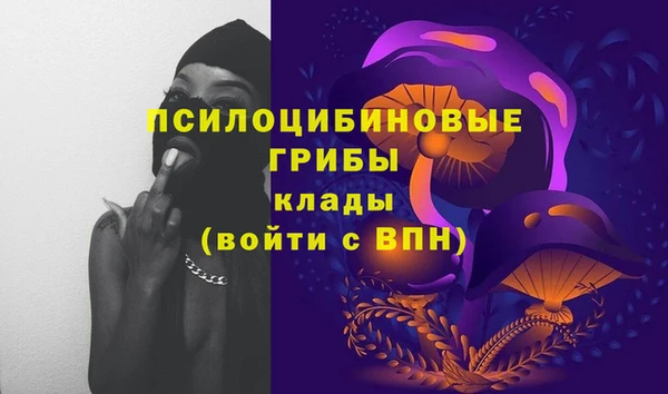 дживик Володарск