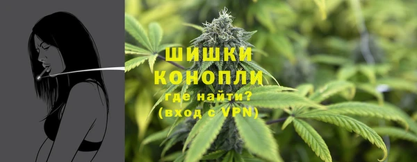 винт Верея