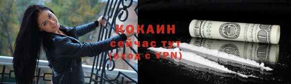 винт Верея
