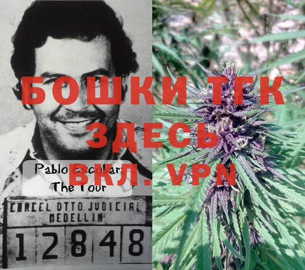 винт Верея