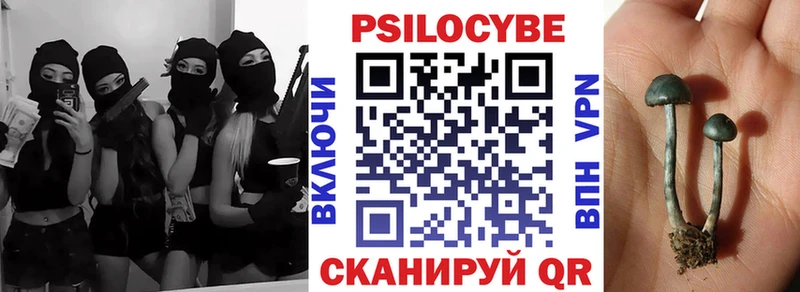 Галлюциногенные грибы Psilocybine cubensis  Лобня 